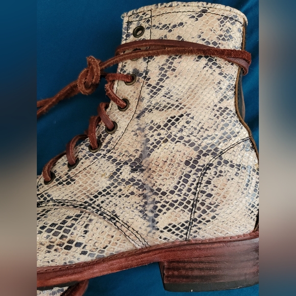 Freebird Manchester white snake 8 - Picture 5 of 5